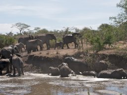 Western_Corridor2009-17